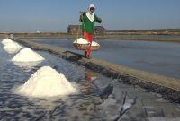 Suasana panen garam di Desa Pinggirpapas, Kecamatan Kalianget, Kabupaten Sumenep, Jawa Timur. (istimewa)