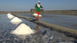 Suasana panen garam di Desa Pinggirpapas, Kecamatan Kalianget, Kabupaten Sumenep, Jawa Timur. (istimewa)