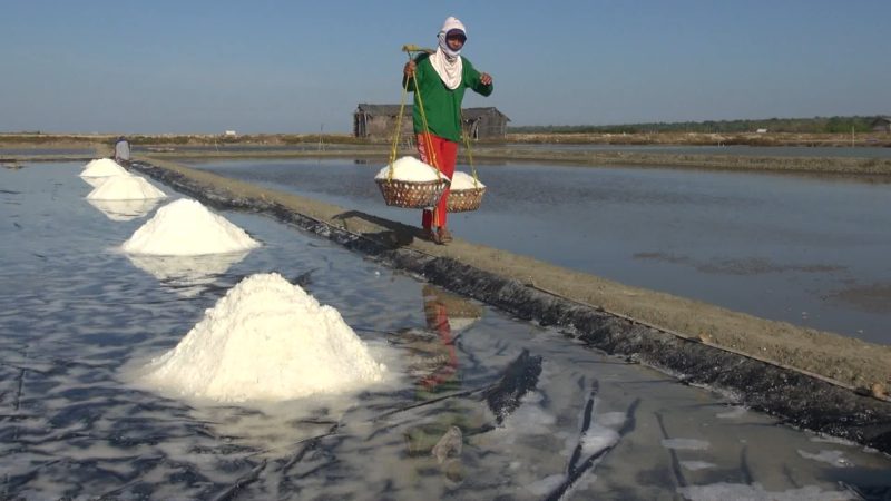 Suasana panen garam di Desa Pinggirpapas, Kecamatan Kalianget, Kabupaten Sumenep, Jawa Timur. (istimewa)