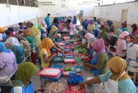 Suasana pengepakan daging rajungan ekspor, di Kecamatan Pademawu, Kabupaten Pamekasan, Jawa Timur. (istimewa)