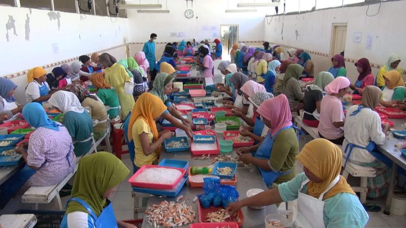 Suasana pengepakan daging rajungan ekspor, di Kecamatan Pademawu, Kabupaten Pamekasan, Jawa Timur. (istimewa)