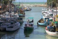 Daerah aliran sungai di Kecamatan Pasean, Kabupaten Pamekasan, Jawa Timur, menjadi lokasi berlindung perahu saat terjadi cuaca buruk. (Budi/ SJ foto)