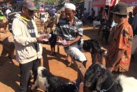 Jual beli kambing di Pasar Hewan Pamolokan, Kota Sumenep, Jawa Timur, Kamis, 25/07/2019. (Budi/ SJ foto)