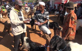 Jual Beli Kambing Ramai Jelang Idul Adha Jual Beli Kambing Ramai Jelang Idul Adha