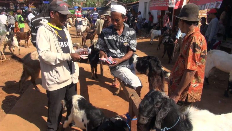 Jual beli kambing di Pasar Hewan Pamolokan, Kota Sumenep, Jawa Timur, Kamis, 25/07/2019. (Budi/ SJ foto)