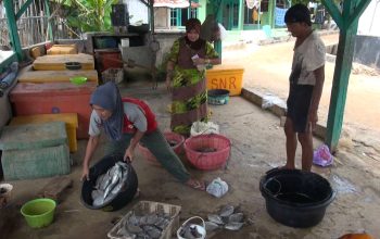 Harga Ikan Naik, Dampak Minimnya Tangkapan Nelayan