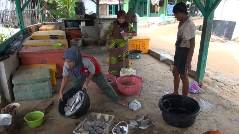 Suasana gudang pengepulan ikan di Kecamatan Bluto, Kabupaten Sumenep, Sabtu, 13/07/2019. (Budi/ SJ foto)