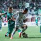 twitter persebaya.
