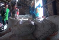 Petani Garam di Kecamatan Kalianget, Kabupaten Sumenep, Jawa Timur, mengamankan karung garam ke gudang khusus saat hujan deras mengguyur, Kamis 04/07/2019. (Budi/ SJ foto)