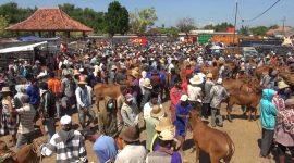 Suasana Pasar Keppo, Kabupaten Pamekasan, Jawa Timur, Selasa, 02/07/2019. (Budi/ SJ foto)
