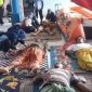 Korban KMP Santika Nusantara dirawat di Puskesmas Masalembu, Jumat, 23/08/2019. (dik/SJ foto)