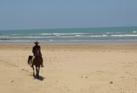 Jasa penyewaan kuda menjadi salah satu hiburan pengunjung. (Didik/ SJ foto)