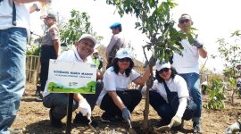 HCML tanam mangrove dan pohon mangga di Desa Semare, Kecamatan Kraton, Pasuruan, Jawa Timur. (Fahmi/ SJ Foto)