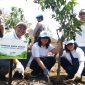 HCML tanam mangrove dan pohon mangga di Desa Semare, Kecamatan Kraton, Pasuruan, Jawa Timur. (Fahmi/ SJ Foto)