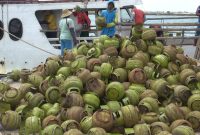 Bongkar muat LPG 3 KG dilakukan di Pelabuhan Gersik Putih, Kalianget, Sumenep, Jawa Timur. (Didik/ SJ Foto/ dok)