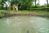 HEBOH: Warga berdatangan ke lokasi munculnya gelembung gas di areal persawahan Desa Batuputih Kenek, Kecamatan Batuputih, Sumenep, Jawa Timur, Rabu, 26/02/2020. (*/ SJ Foto) 