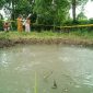 HEBOH: Warga berdatangan ke lokasi munculnya gelembung gas di areal persawahan Desa Batuputih Kenek, Kecamatan Batuputih, Sumenep, Jawa Timur, Rabu, 26/02/2020. (*/ SJ Foto) 