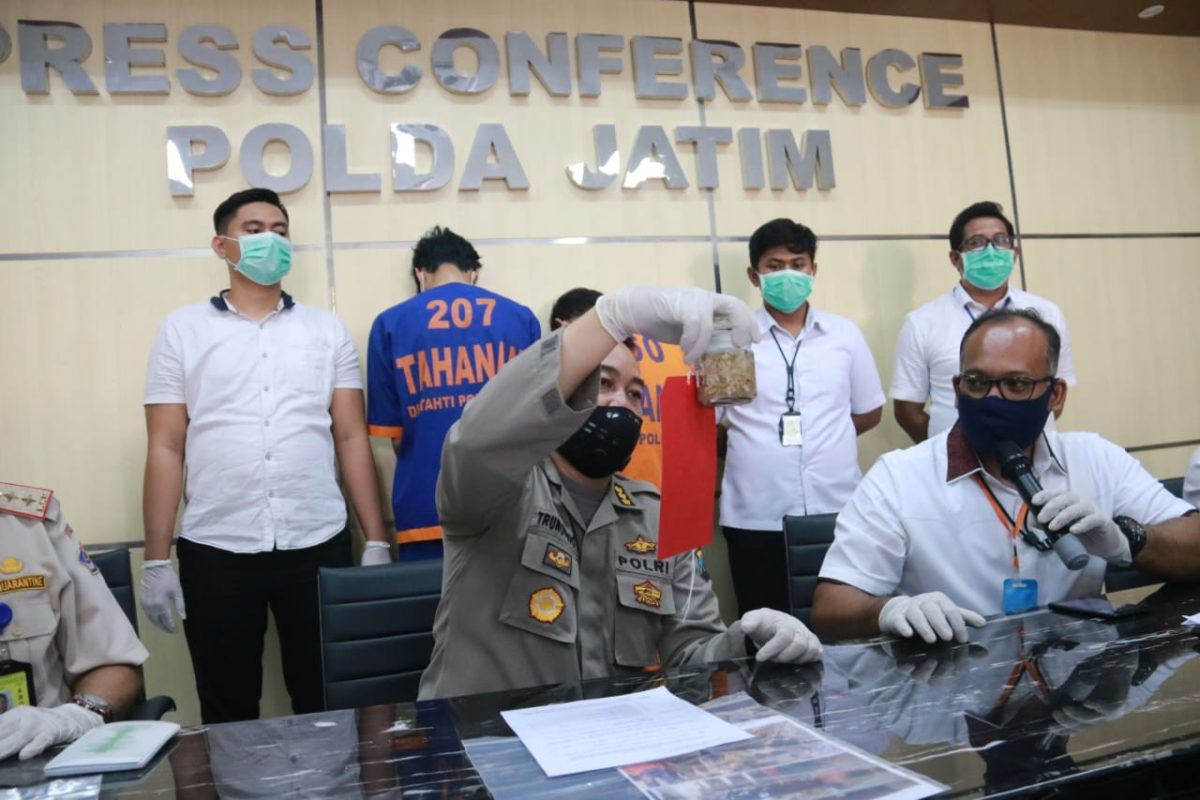 Kedua tersangka penyelundupan benih lobster dihadirkan dalam konferensi pers, Kamis, 10/04/2020. (Yudha/SJ Foto)
