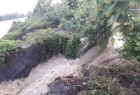 Tanggul Kali Plalangan di Desa Ploso Lebak, Kecamatan Turi, Lamongan jebol dan merendam lahan pertanian dan rumah warga. (Makhrus/SJ Foto) 