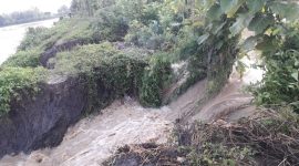 Tanggul Kali Plalangan di Desa Ploso Lebak, Kecamatan Turi, Lamongan jebol dan merendam lahan pertanian dan rumah warga. (Makhrus/SJ Foto) 