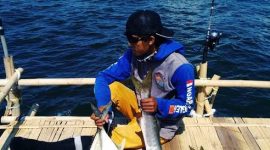 Seorang pemancing sedang mengumpulkan ikan yang berhasil ditangkap di atas pagan ikan. (Mg2/red)