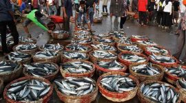 Nelayan Ambunten menurunkan hasil tangkapan ikan. (Foto istimewa)