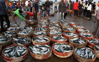 Ikan Asap, Potensi Warga Ambunten
