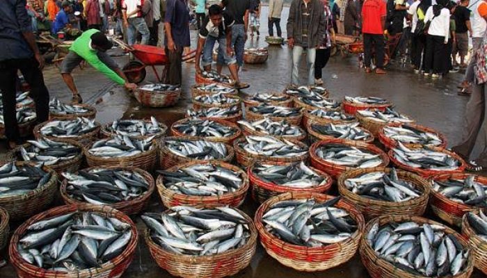 Ikan Asap, Potensi Warga Ambunten