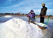 Hujan, Produksi Garam Terhenti Hujan, Produksi Garam Terhenti