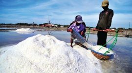 Petani panen garam di lahan pegaraman Kecamatan Kalianget, Sumenep, Jawa Timur. (Foto istimewa)