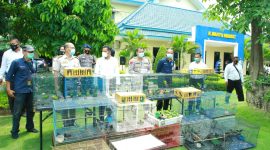 Ditpolair dan BKSDA Jatim menggelar konferensi pers kasus penyelundupan burung dilindungi, Senin, 23/11/2020. (Yudha/ SJ Foto)