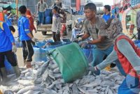 Aktifitas jual beli ikan para nelayan NTB. (Foto Istimewa)
