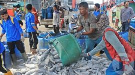 Aktifitas jual beli ikan para nelayan NTB. (Foto Istimewa)
