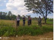 Antisipasi Pasar Sapi Dadakan, Polsek Lenteng Tutup Lahan Terbuka