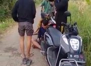 Pasca Video Camat Perintah Curi Sapi Warga Viral, Dua Ekor Sapi di Batang – Batang Daya Diembat Maling