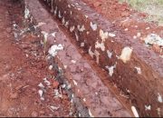 Dugaan Ketidakberesan Proyek Irigasi Di Desa Tambak Sari Terancam Dilaporkan Dugaan Ketidakberesan Proyek Irigasi Di Desa Tambak Sari Terancam Dilaporkan
