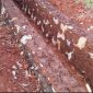 Foto:proyek irigisi di Desa Tambak Sari yang diduga tidak sesuai RAB