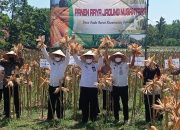 Terus Menunjukkan Kemajuan Dan Prestasi, Dispertahortbun Sumenep Sukses Gelar Dua Acara Sekaligus Terus Menunjukkan Kemajuan Dan Prestasi, Dispertahortbun Sumenep Sukses Gelar Dua Acara Sekaligus