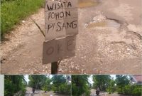 Foto: pohon pisang yang ditanam warga ditengah jalan desa Pagar batu, kecamatan saronggi