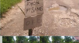 Foto: pohon pisang yang ditanam warga ditengah jalan desa Pagar batu, kecamatan saronggi