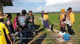 Foto: PPL desa jambu Didampingi Kepala Desa Jambu bersama para petani melakukan Gerdal hama Tikus Di Desa Jambu. 