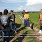Foto: PPL desa jambu Didampingi Kepala Desa Jambu bersama para petani melakukan Gerdal hama Tikus Di Desa Jambu. 