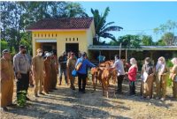 Foto: Petugas dari DKPP Sumenep melakukan vaksinasi sapi di Desa Daramista, Kecamatan Lenteng. 