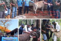 Foto:petugas paramedik didampingi anggota TNI melaksanakan vaksinasi di kecamatan arjasa dan sepudi