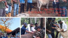 Foto:petugas paramedik didampingi anggota TNI melaksanakan vaksinasi di kecamatan arjasa dan sepudi