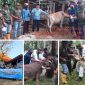 Foto:petugas paramedik didampingi anggota TNI melaksanakan vaksinasi di kecamatan arjasa dan sepudi