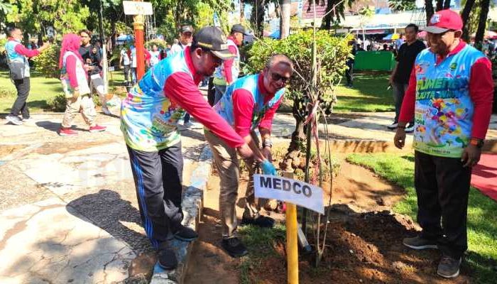 Percantik Kota Sumenep, Achmad Fauzi Tanam Ratusan Pohon Di Taman Adipura