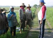 Manfaatkan Hari Libur, Bupati Fauzi Sambangi Petani Sambil Jalan Santai Manfaatkan Hari Libur, Bupati Fauzi Sambangi Petani Sambil Jalan Santai