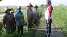 Moment keakraban Bupati Fauzi bersama buruh tani