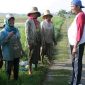 Moment keakraban Bupati Fauzi bersama buruh tani